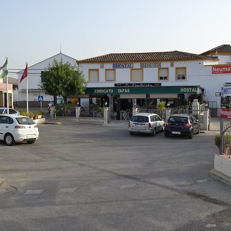 Hostal Andalucia De Arcos Arcos de la Frontera Exteriör bild